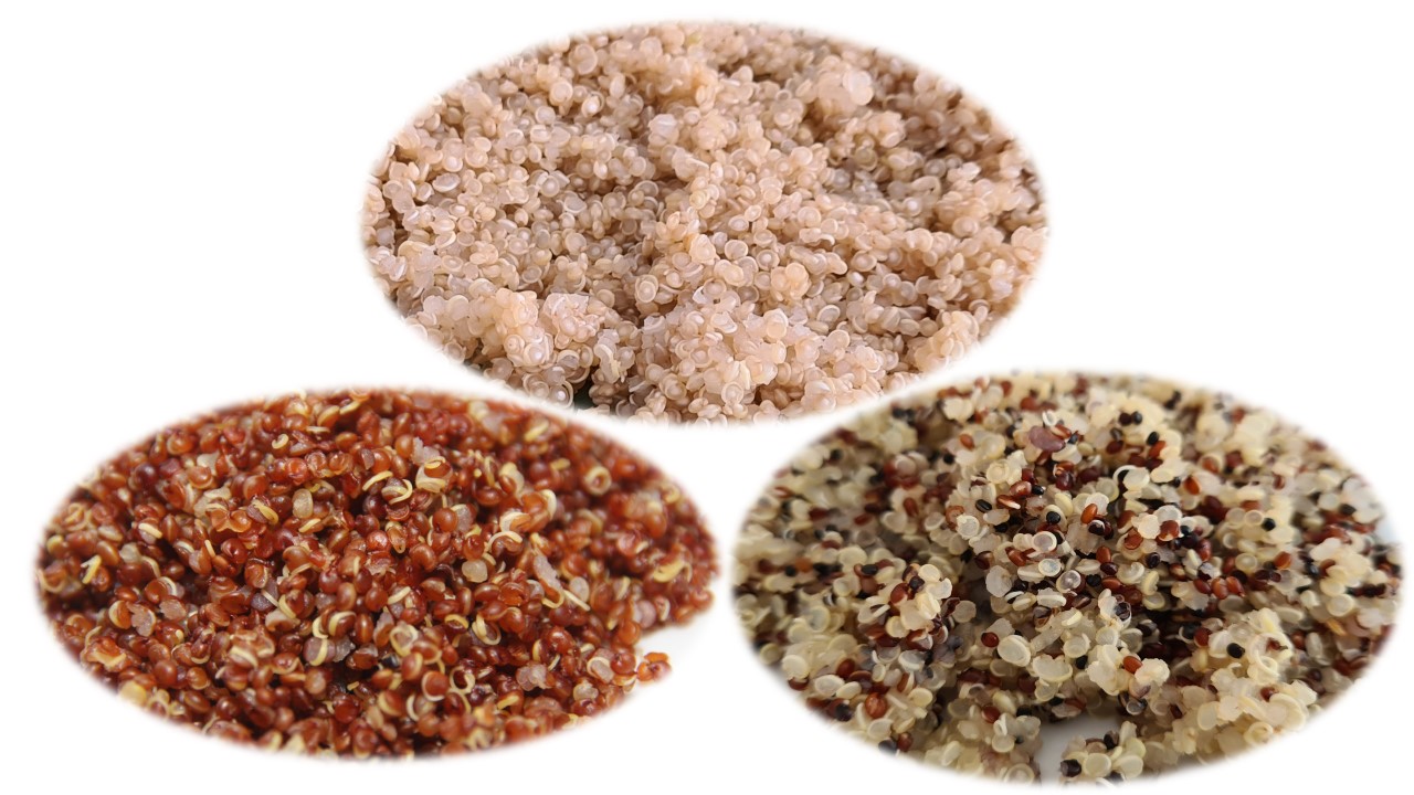 leg quinoa.jpg