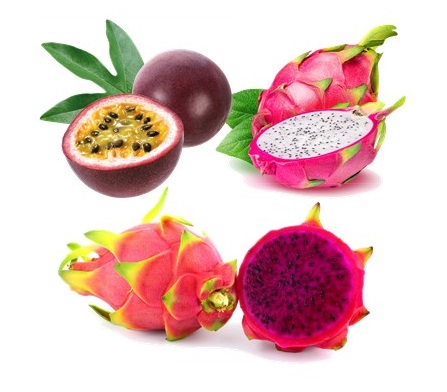 fruit exotique 1.jpg