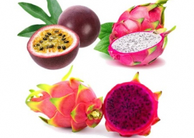 fruit exotique 1.jpg