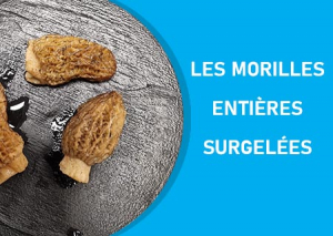 morille-entiere-patrigel.jpg